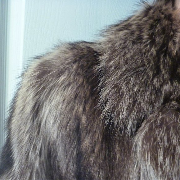 Custom Made Jackets & Blazers - Long Racoon Real Fur Long Coat L Women Brown Gray USA Slit Ear Muffs Set
